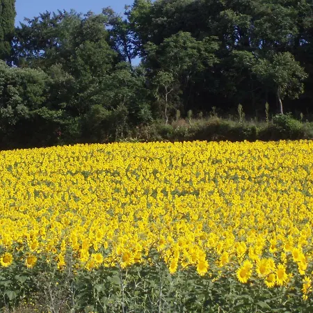 Les Pics Blancs Prázdninový dům