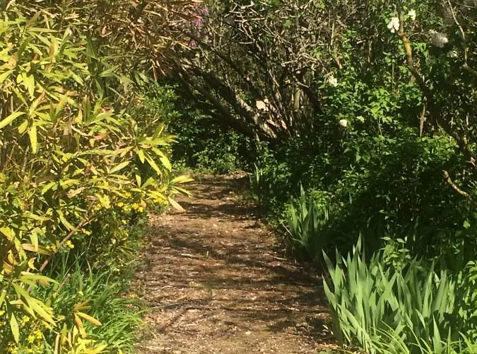 Les Pics Blancs * La Courtete