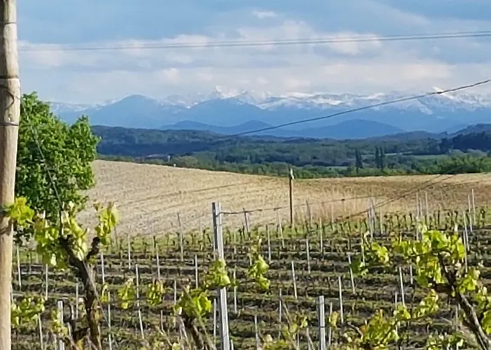 Les Pics Blancs Hébergement de vacances La Courtete